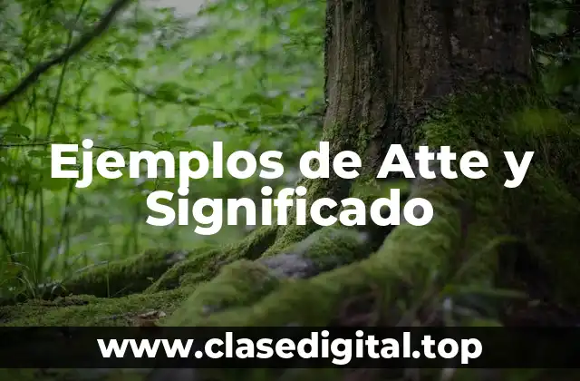 Ejemplos de Atte y Significado