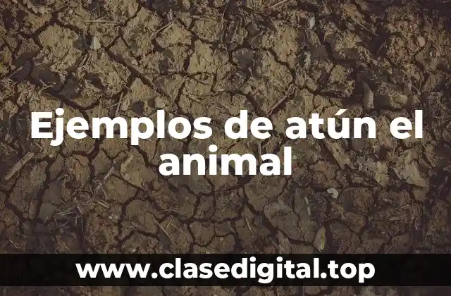 Ejemplos de atún el animal