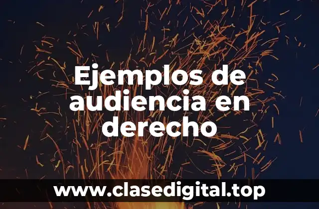 Ejemplos de audiencia en derecho