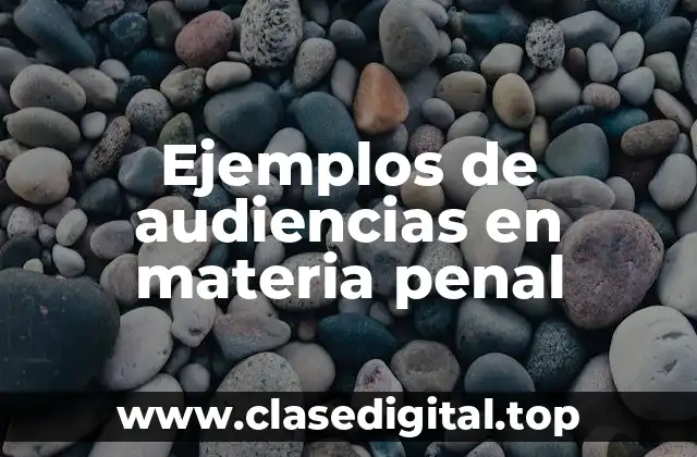 Ejemplos de audiencias en materia penal