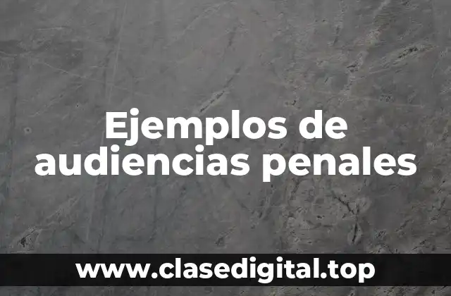 Ejemplos de audiencias penales