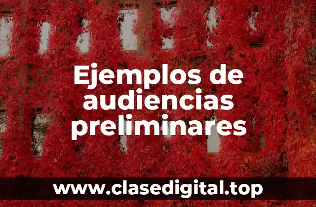 Ejemplos de audiencias preliminares