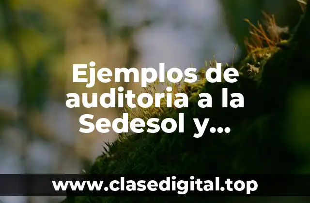 Ejemplos de auditoria a la Sedesol y Significado