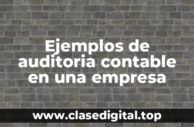 Ejemplos de auditoria contable en una empresa