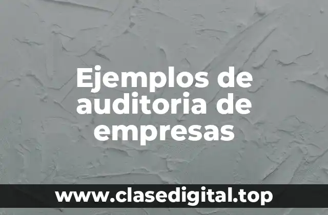 Ejemplos de auditoria de empresas