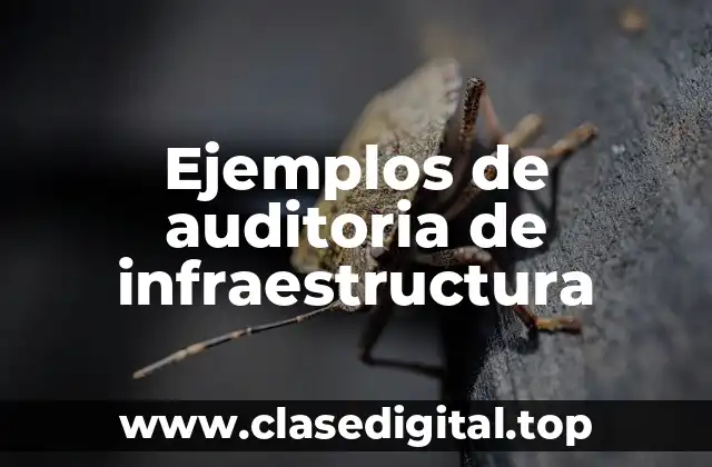 Ejemplos de auditoria de infraestructura