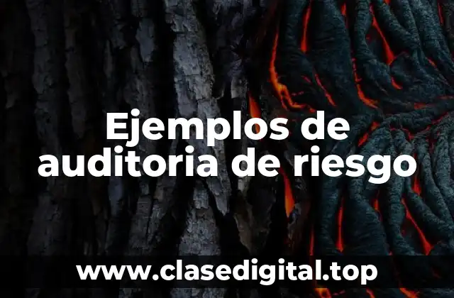Ejemplos de auditoria de riesgo