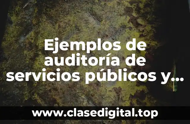 Ejemplos de auditoría de servicios públicos y Significado