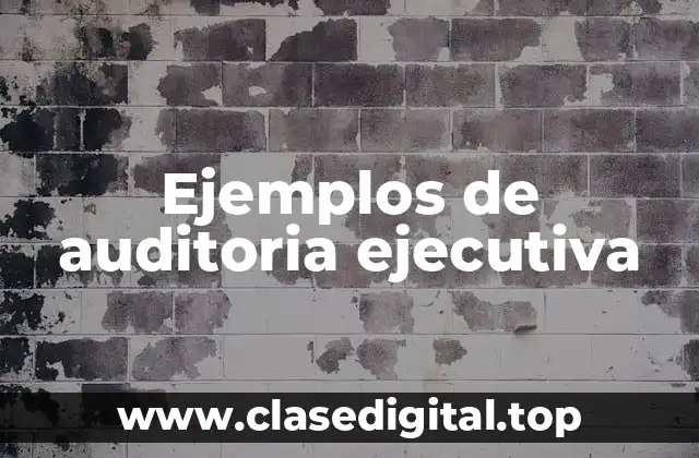 Ejemplos de auditoría ejecutiva