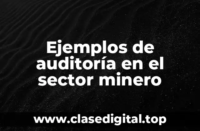 Ejemplos de auditoría en el sector minero