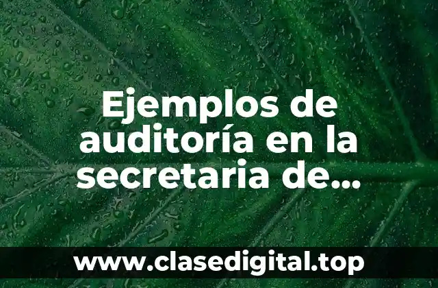 Ejemplos de auditoría en la secretaria de comunicaciones y transportes y Significado