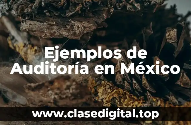 Ejemplos de Auditoría en México