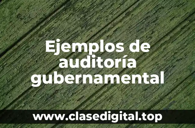 Ejemplos de auditoría gubernamental