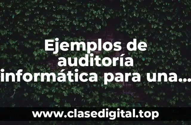 Ejemplos de auditoría informática para una empresa