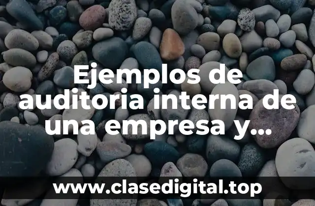 Ejemplos de auditoria interna de una empresa y Significado