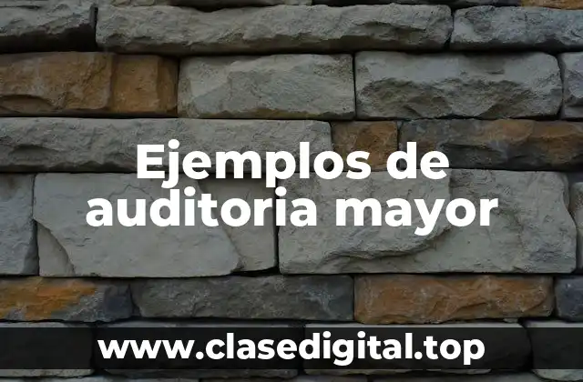 Ejemplos de auditoria mayor