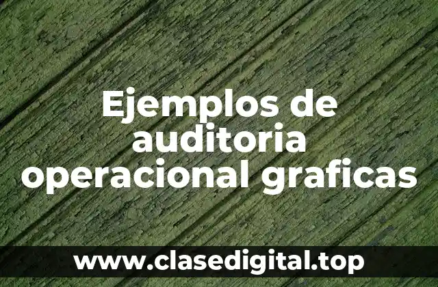 Ejemplos de auditoria operacional gráfica