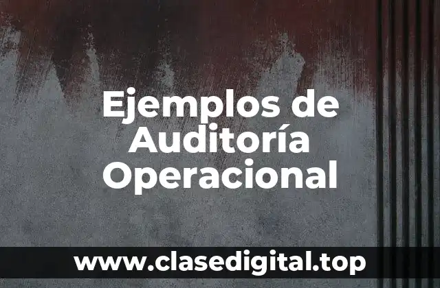 Ejemplos de Auditoría Operacional