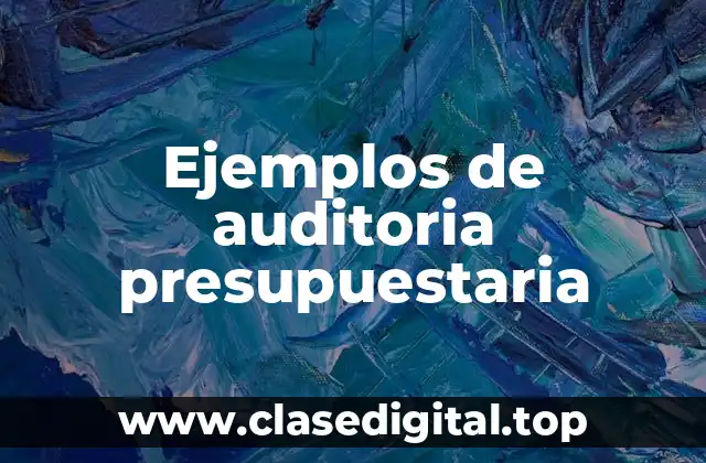 Ejemplos de auditoria presupuestaria