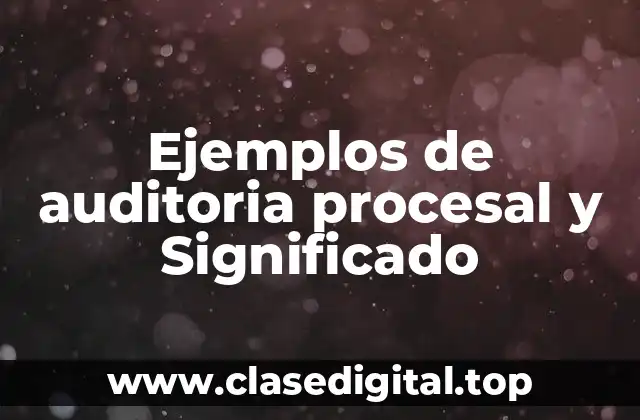 Ejemplos de auditoria procesal y Significado