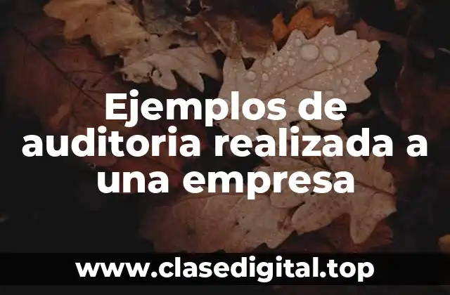 Ejemplos de auditoria realizada a una empresa
