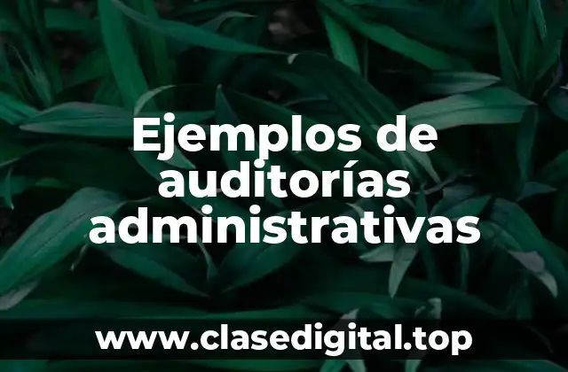 Ejemplos de auditorías administrativas