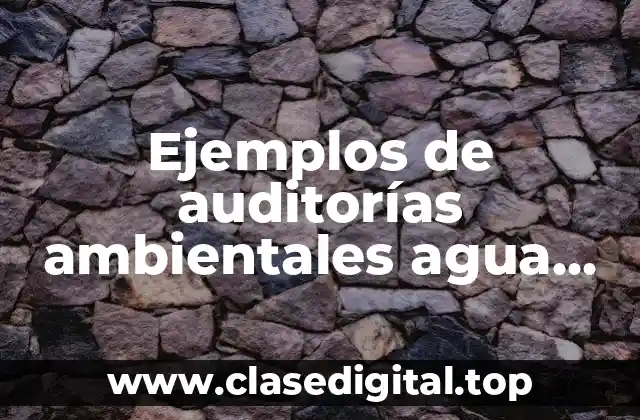 Ejemplos de auditorías ambientales agua residual