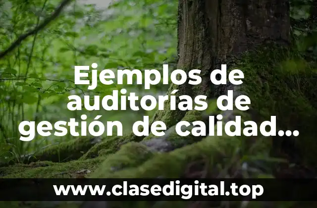 Ejemplos de auditorías de gestión de calidad paso a paso y Significado