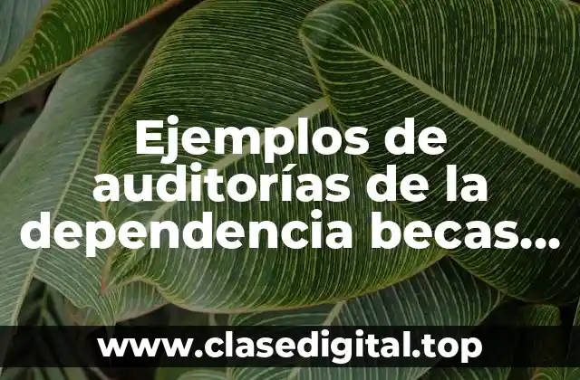 Ejemplos de auditorías de la dependencia becas Benito Juárez