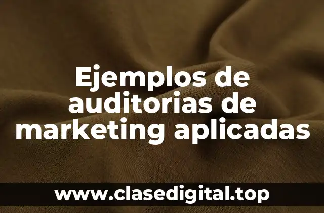 Ejemplos de auditorias de marketing aplicadas