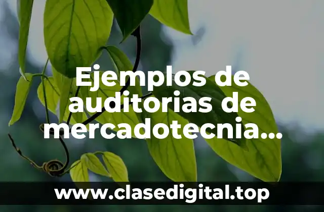 Ejemplos de auditorías de mercadotecnia