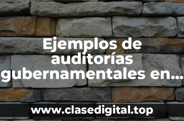 Ejemplos de auditorías gubernamentales en México