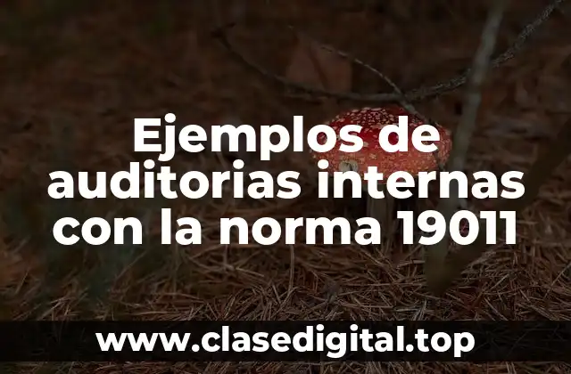 Ejemplos de auditorias internas con la norma 19011