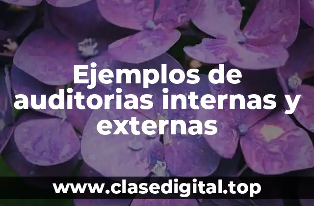 Ejemplos de auditorias internas y externas