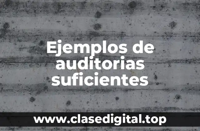 Ejemplos de auditorias suficientes