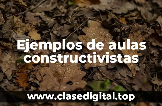 Ejemplos de aulas constructivistas