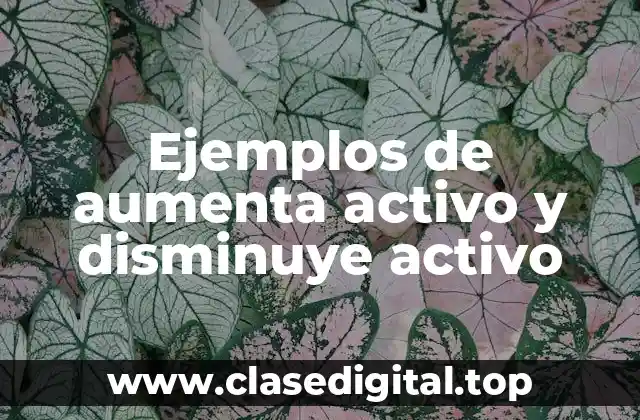 Ejemplos de aumenta activo y disminuye activo