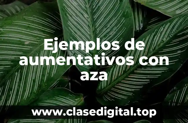 Ejemplos de aumentativos con aza