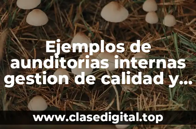 Ejemplos de aunditorias internas gestion de calidad y Significado