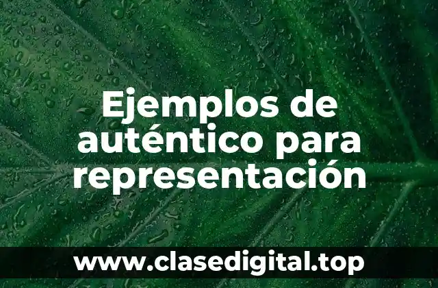 Ejemplos de auténtico para representación