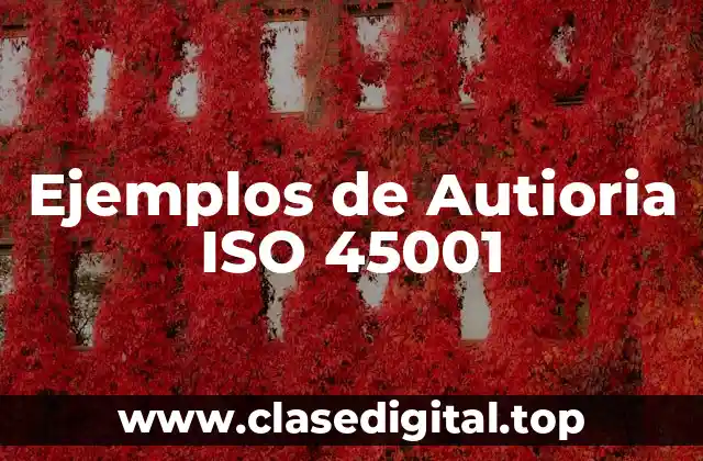 Ejemplos de Autioria ISO 45001