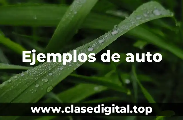 Ejemplos de auto