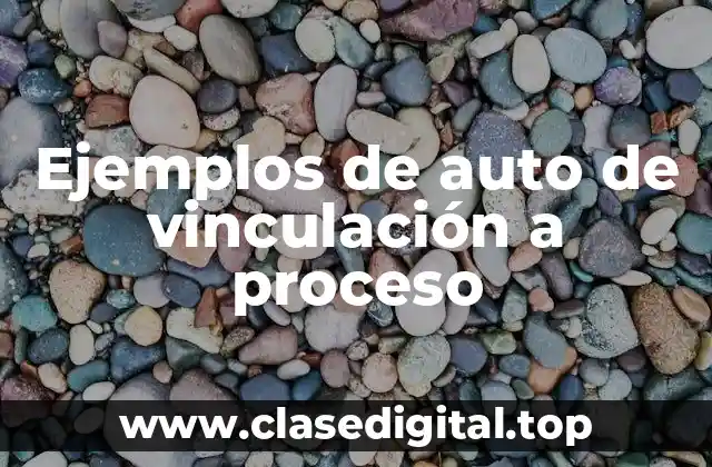 Ejemplos de auto de vinculación a proceso