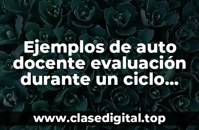 Ejemplos de auto docente evaluación durante un ciclo escolar