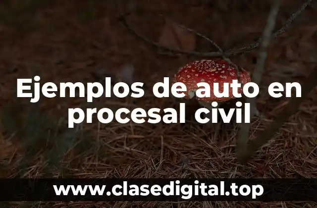 Ejemplos de auto en procesal civil