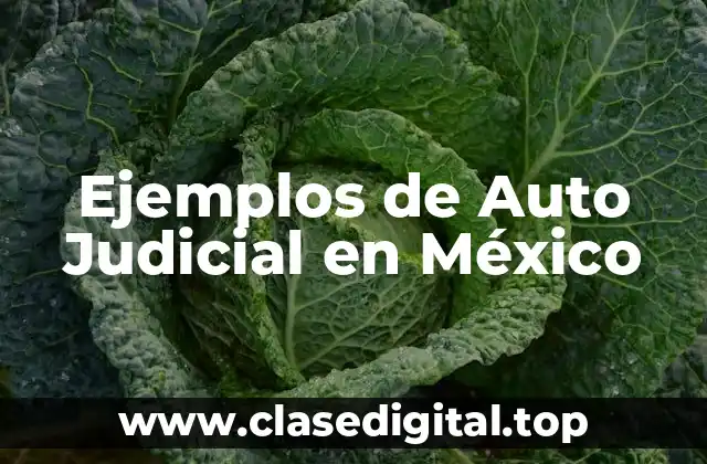 Ejemplos de Auto Judicial en México
