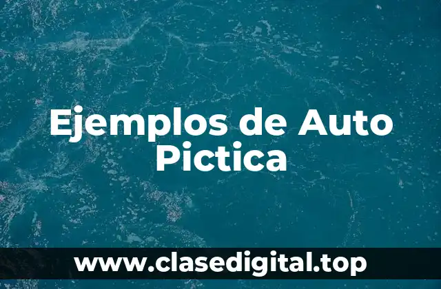 Ejemplos de Auto Pictica