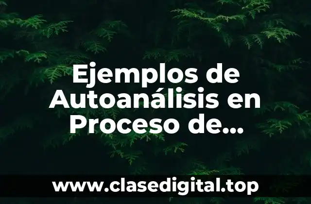 Ejemplos de Autoanálisis en Proceso de Aprendizaje