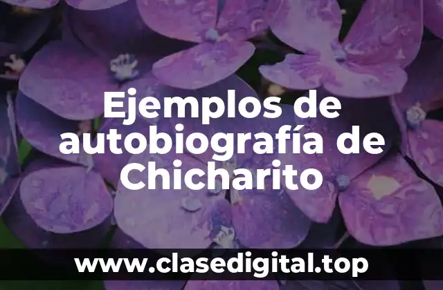 Ejemplos de autobiografía de Chicharito