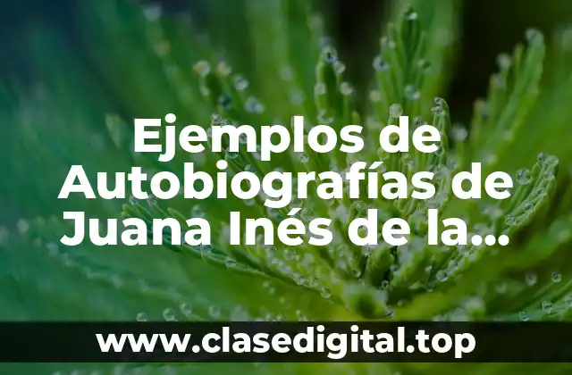 Ejemplos de Autobiografías de Juana Inés de la Cruz